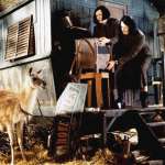 Odile Mallet, Genevi&egrave;ve Brunet