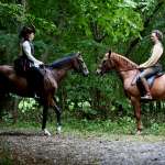 Andrea Petrik, Ervin Nagy