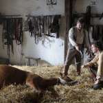 J&oacute;zsef Gyabronka, Ervin Nagy