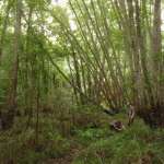 K&eacute;vin Aza&iuml;s, Ad&egrave;le Haenel