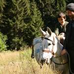 Erdal Besik&ccedil;ioglu, Bora Altas