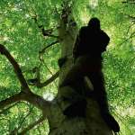 Erdal Besik&ccedil;ioglu