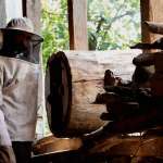 Erdal Besik&ccedil;ioglu