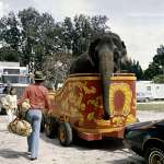 Jerry Reed, Dom DeLuise, Burt Reynolds, Sally Field