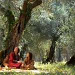 Sara Lazzaro, Adam Greaves-Neal