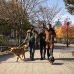 Olivia Cooke, Brandon Kyle Goodman, Andrew Scott