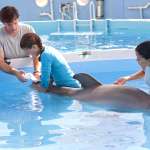 Austin Highsmith, Betsy Landin, Harry Connick Jr.