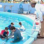 Morgan Freeman, Austin Highsmith, Betsy Landin, Nathan Gamble, Harry Connick Jr.