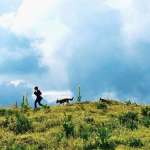 Bertille No&euml;l-Bruneau