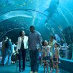 China Anne McClain, Gabrielle Union, Sierra Aylina McClain, Lauryn Alisa McClain, Idris Elba