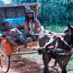 David Ramsey, Leon Schuster