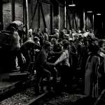 Laura Peterson, Tarmo Song