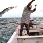 Nest&oacute;r Mar&iacute;n