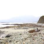 Lotte Verbeek, Stephen Rea