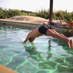 Matthias Schoenaerts, Lily McMenamy, Ralph Fiennes, Aurore Cl&eacute;ment