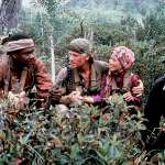 Randall 'Tex' Cobb, Alice Lau, Gene Hackman, Harold Sylvester, Tim Thomerson