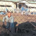 Paul Newman, George Kennedy