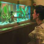 J&uacute;lia Stockler