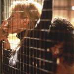 Antonio Banderas, Rebecca De Mornay