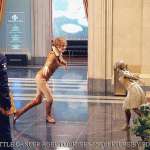 Amy Adams, Ben Stiller