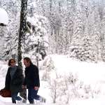 Tommy Lee Jones, Connie Nielsen