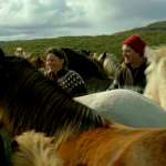 Charlotte B&oslash;ving, Ingvar Eggert Sigur&eth;sson