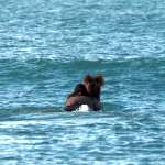 Steinn &Aacute;rmann Magn&uacute;sson