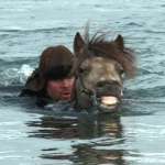 Steinn &Aacute;rmann Magn&uacute;sson