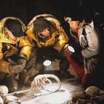 Sanaa Lathan, Ewen Bremner, Raoul Bova