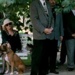 Dagmar Havlov&aacute;