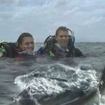 Daniel Travis, Blanchard Ryan