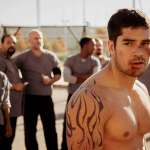 D.J. Cotrona