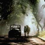 Kevin Costner, Madeleine Stowe