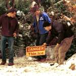 Nathan Fillion, Ryan Reynolds, Richard Ruccolo