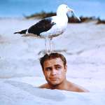 Marlon Brando