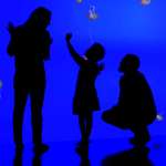 O.T. Fagbenle, Jordana Blake, Elisabeth Moss