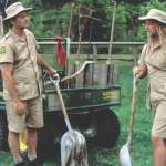 Bill Murray, Chris Elliott