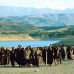 Steve Shill, Gary Basaraba, Harvey Keitel, Willem Dafoe, Paul Greco