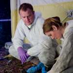 Hugh Bonneville, Janet McTeer