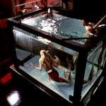 Daryl Hannah, Tom Hanks