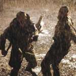 Sergej Trifunović, Emir Hadžihafizbegović