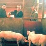 Stephen Graham, Alan Ford, Jason Statham, Andy Beckwith