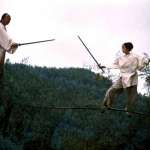 Ziyi Zhang, Yun-Fat Chow