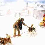 Paul Walker, Jason Biggs, Bruce Greenwood