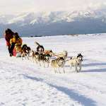 Paul Walker, Bruce Greenwood