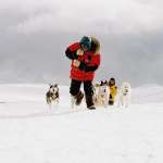 Paul Walker, Bruce Greenwood