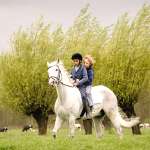 Mels van der Hoeven, Justin Emanuels