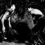 Robert Mitchum, Gregory Peck