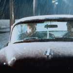 Til Schweiger, Jan Josef Liefers