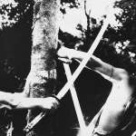 Toshir&ocirc; Mifune, Masayuki Mori